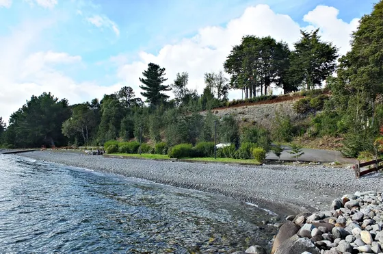 Parcela Condominio Con Acceso Al Lago Llanquihue