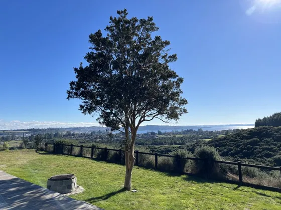 Arriendo Casa A 4 Min Lago Llanquihue