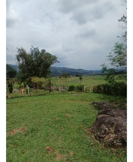 Venta Finca Ganadera En El Guamal De 43 Hectáreas