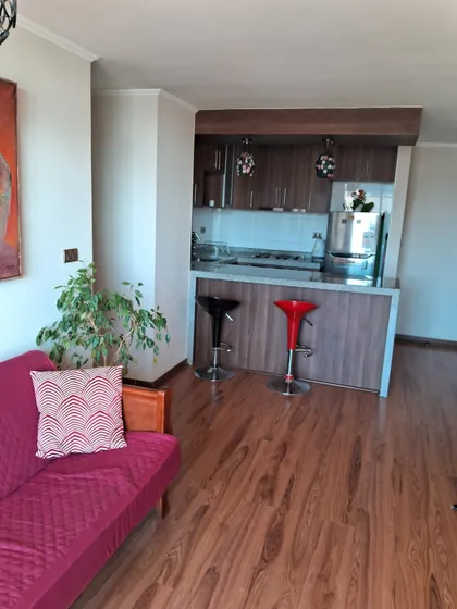  ¡arriendo Céntrico! Dpto 2d 2b En Concepción 
