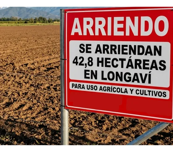 Excelente Campo Agrícola De 42,8 Hectáreas En Longaví.
