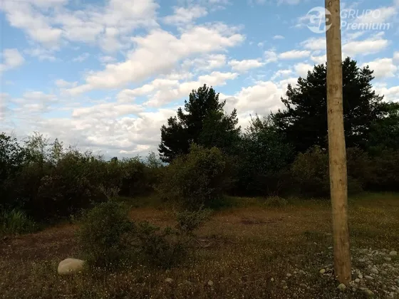 Sitio En Venta En Longaví