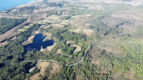 Oportunidad Campo 30ha Con Rio Y Bosque Nativo