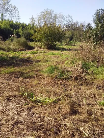Terreno Lote Venta Merlo