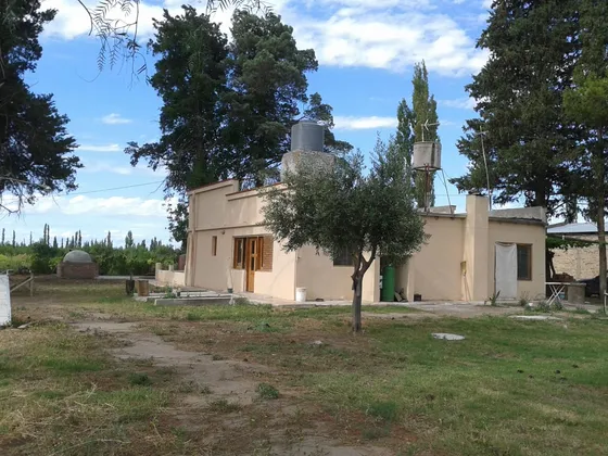 Venta Lote Campo Casa  Mendoza General Alvear Bowe