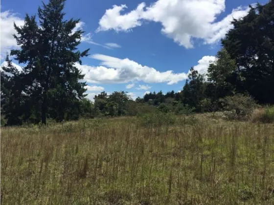 Lote En Venta Sector Rancherías En Rionegro