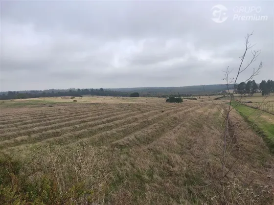 Parcela En Venta 17 Há En Quillaycillo - El Tabo