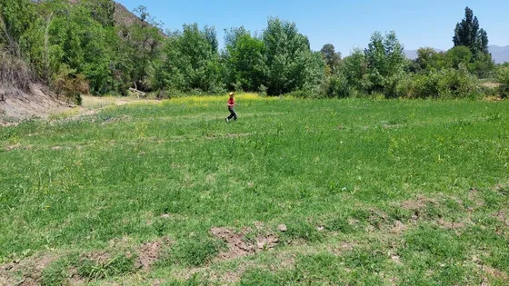 Parcela En Venta En Los Andes