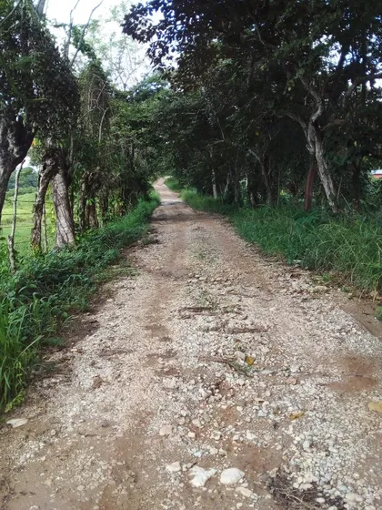 Terreno En Rancho O Rancheria San Juan El Alto