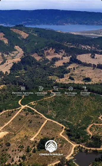 Disfruta Vichuquén, Laguna Torca Y Playa Llico A Minutos
