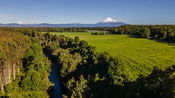 Terreno En Venta En Puerto Octay
