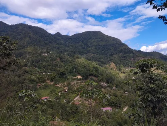 Lote En Venta En Los Naranjos. Cod V1093001
