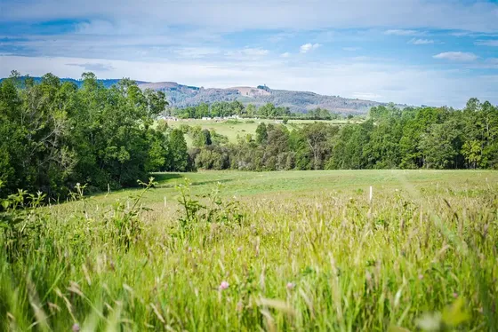 Sitio 5000 M2 En Venta En Paillaco