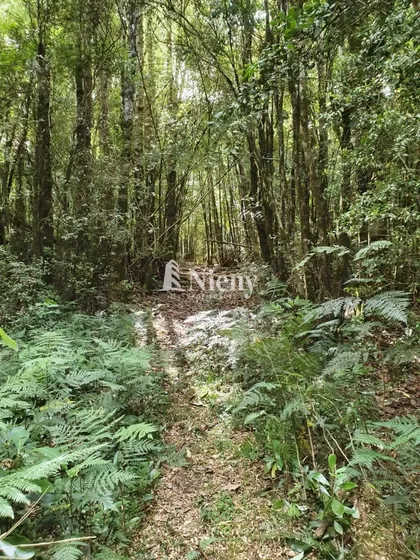 Sitio De 99 Has En Venta En Corral, A 30 Min De Valdivia