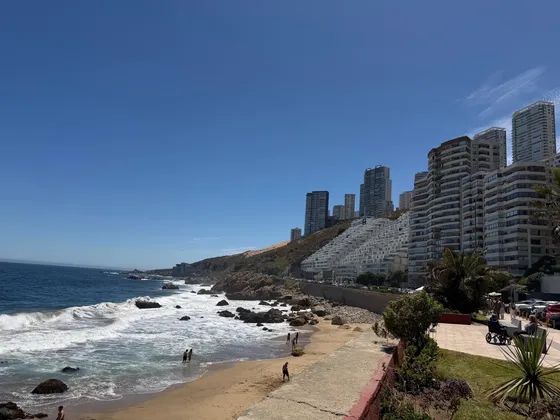 Arriendo Linda Vista Al Mar Amoblado Hasta Dic. Reñaca