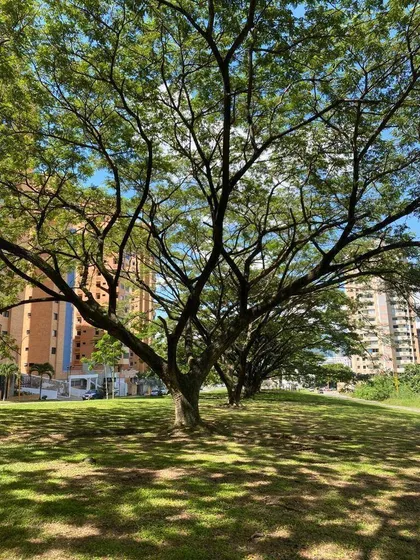  Apartamento Estudio En Venta Res Lugano Planta 50% Equipado Y Amoblado.