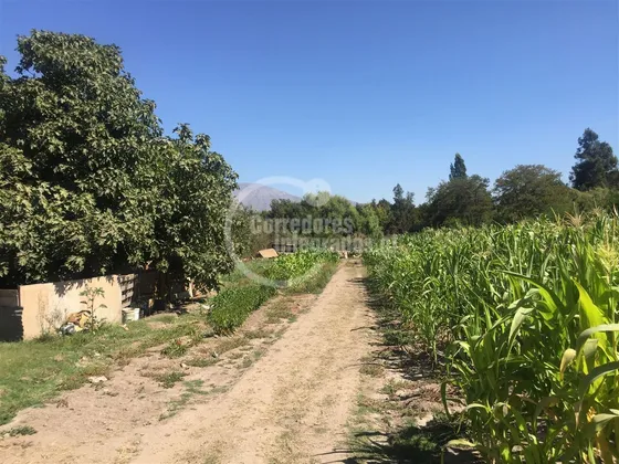 Sitio En Arriendo En Pirque