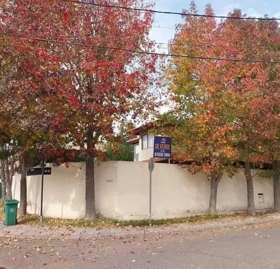 Bellísima Casa (172790)