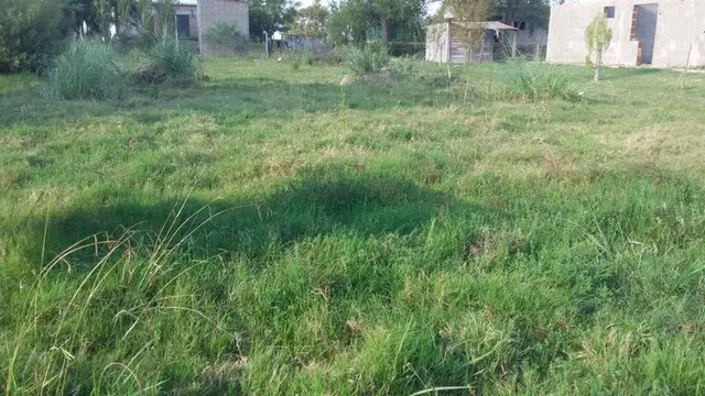 Terreno - Nueva Palmira