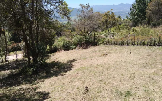 Lote En Venta En Vereda San Gabriel. Cod V11040016