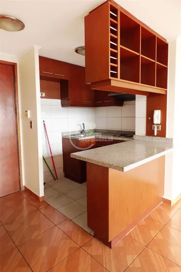 Departamento En Venta De 1 Dorm. En Santiago