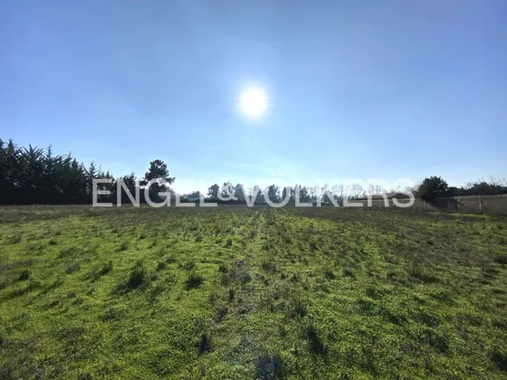 Terreno En El Pedrero, Mostazal