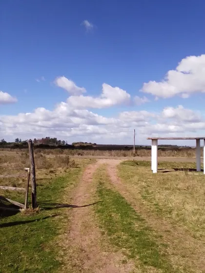 Quinta En Venta En Uruguay