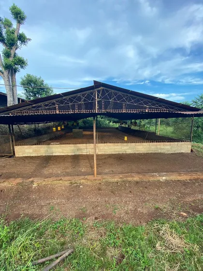 Finca En Venta Tinaquillo Caño De Agua (af) 