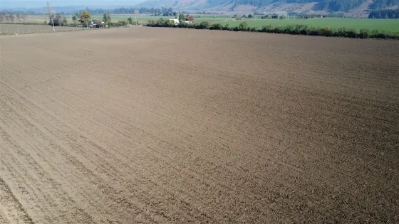 Agrícola En Arriendo En San Clemente