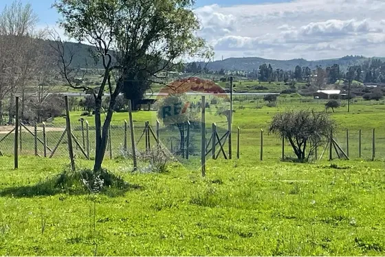 Terreno En Vichuquén: ¡tu Sueño En 5000m²!