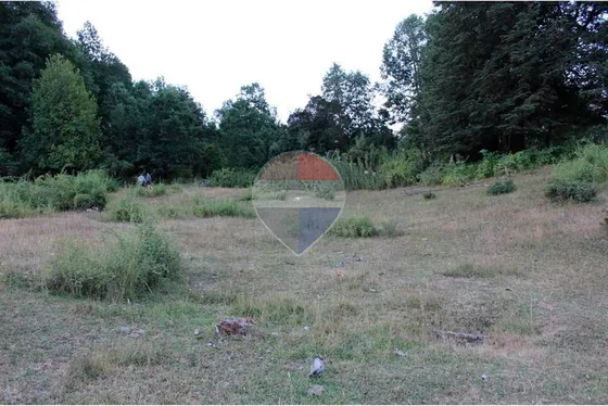 Sitio En Venta En Pucón