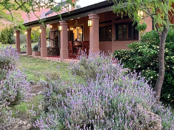 Casa En Plantación De Olivos Sierra Pura  - San Javier - Traslasierra