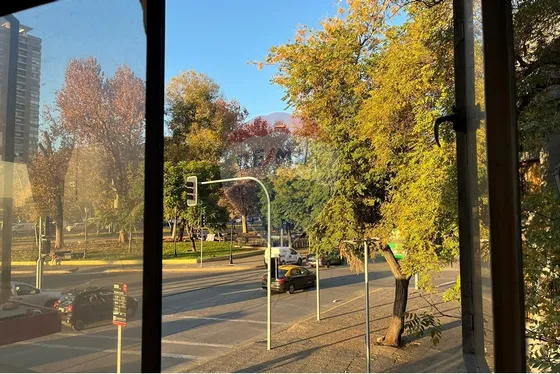 Dpto Antiguo Para Remodelar - Parque Forestal