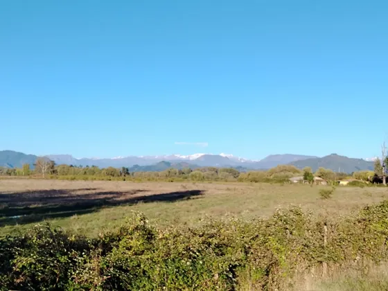 44 Ha Ampliables A 101,8 Ha Ideal Avellano Rio Claro Vii R