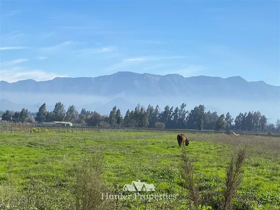 Sitio En Venta En Mostazal- La Punta