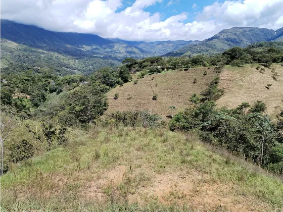 Lote En Venta, Sector San Antonio, Cocorná 