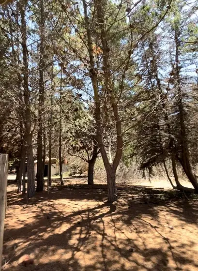 Parcela Con Galpón , Paraíso De Quinquelles.