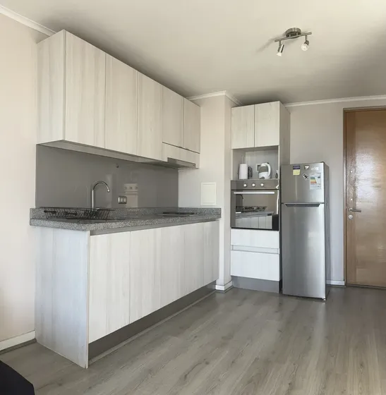 Iluminado Y Moderno Departamento En El Centro De Concepción