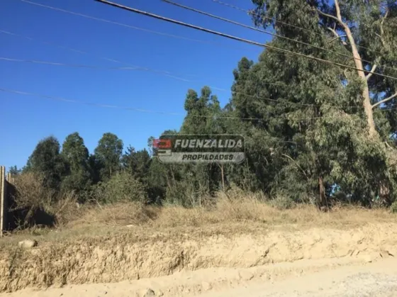 Terreno Construccion En Arriendo En Viña Del Mar