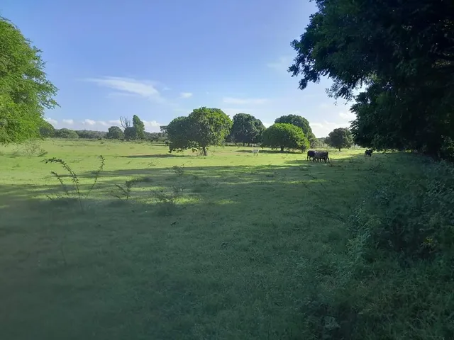 Te Vendo Hermosa Finca En Dajabón República Dominicana.
