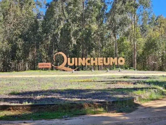 Quincheumo / Reserva Topocalma