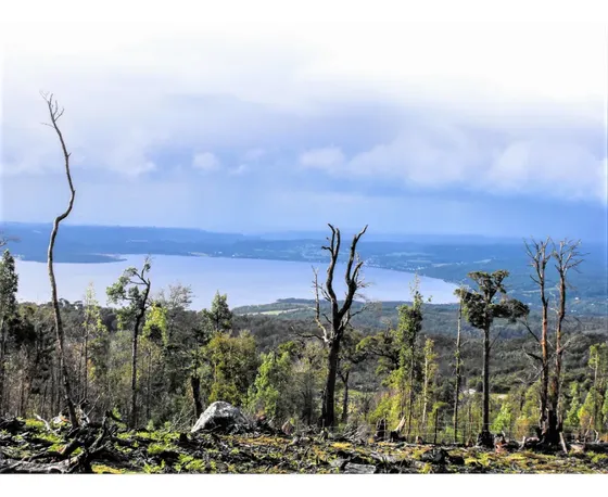 Parcela En Venta En Huillinco
