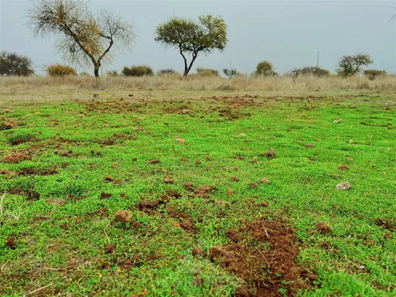 Parcela De 5mil Mts2 En Venta En Ruta Los Conquistadores.