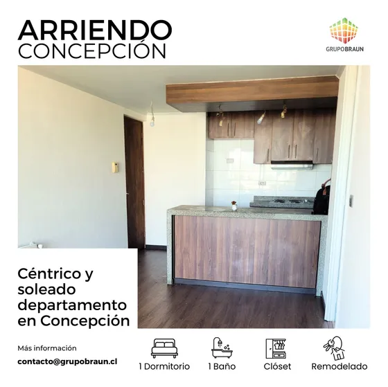 Arriendo Depto 1d1b Concepción Centro - 50% Dcto En Garantía