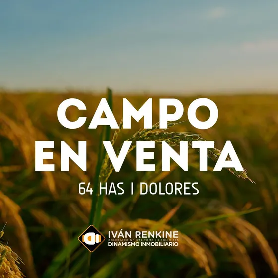 Campo En Venta En General Conesa