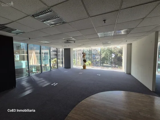 Renta - Oficina  - Torre Picasso - 562 M2 - Piso 2