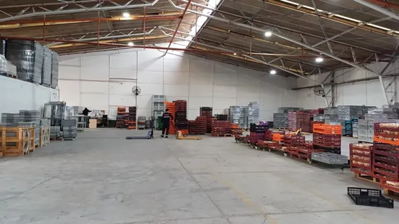 Arriendo Bodega Quilicura 1007 M2 - 201,67 Uf + Iva 
