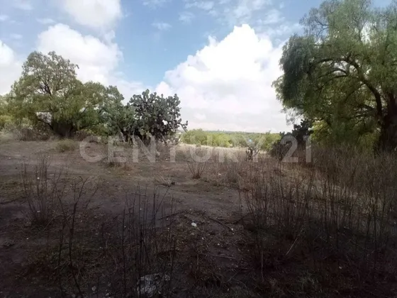 Terreno En Venta, Santa Maria Cuevas Zumpango