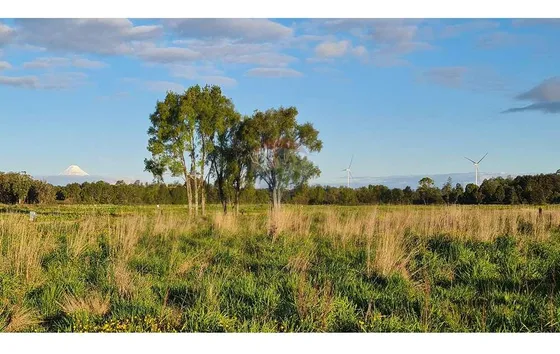 Parcela En Condominio La Reserva Frutillar