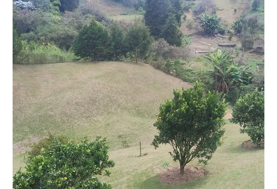 Lote En Venta En Rionegro Sector Mampuesto